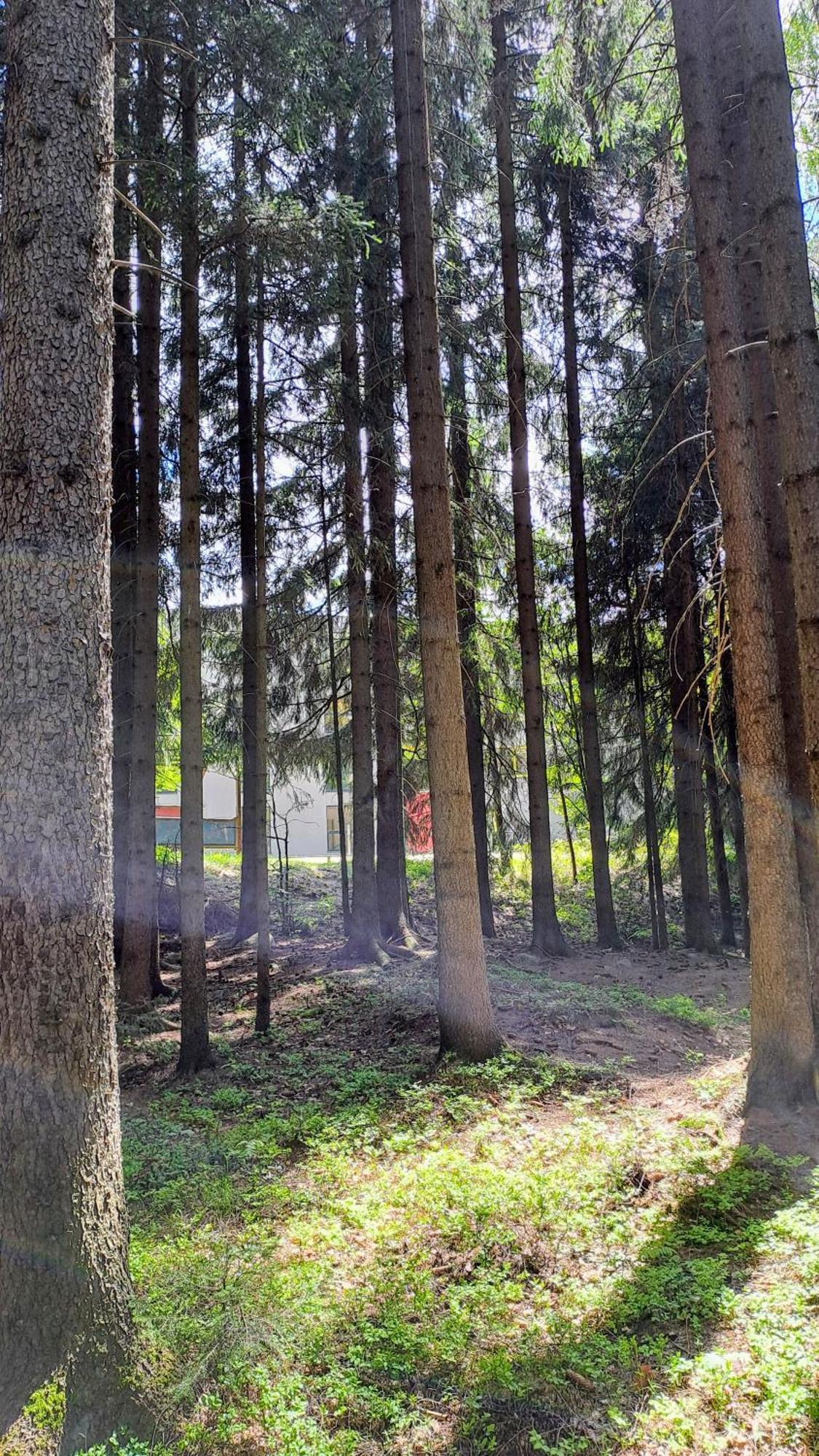 Plne Vybaveny Apartman Pod Mumlavskym Vodopadem, Zahrada S Ohnistem, Idealni Vychozi Bod Pro Turistiku, U Cesty Na Hrebeny, Kousek Do Centra, Absolutni Klid, Vybaveny I Pro Deti, Wellness A Fitko Naproti Гаррахов Екстер'єр фото